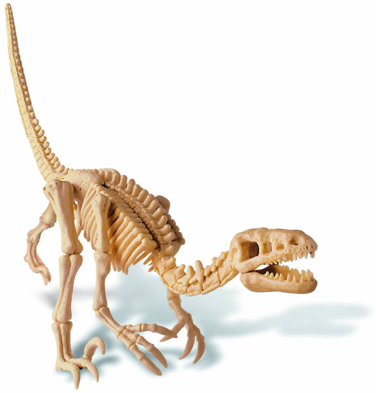 Набор для раскопок 4M Откопай скелет динозавра. Велоцираптор